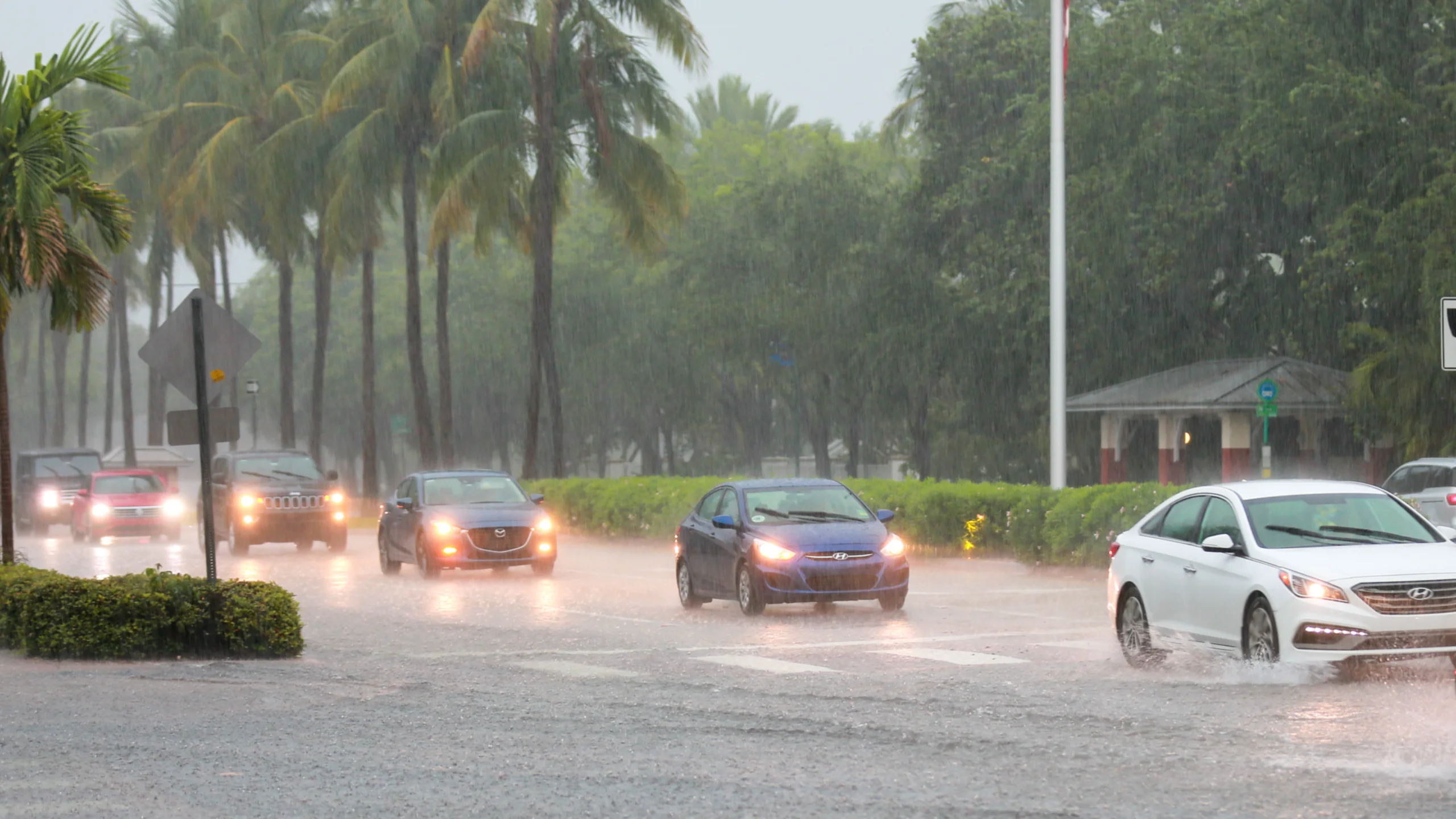 stormwater master plan 1 Carley Smith